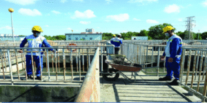 Thị trường lao động 2024: nở rộ “việc làm xanh”