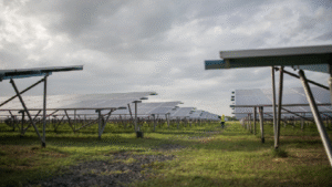 Hợp tác Đức – Việt trên hành trình “xanh hóa” việc làm và phát triển bền vững