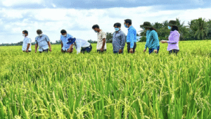 Việt Nam sẽ giảm gần 30 triệu tấn CO2 trong quản lý chất thải